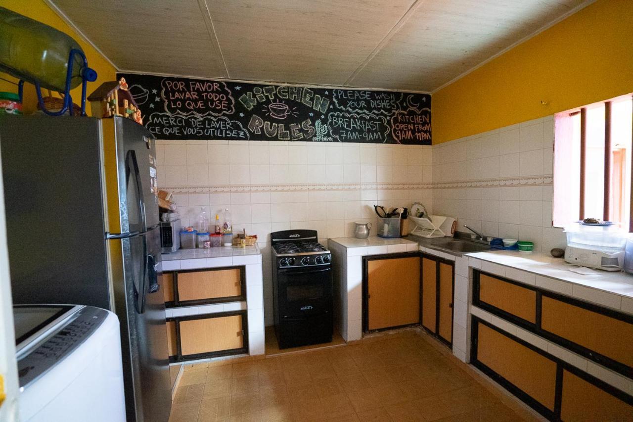 נייבה Backpackers And Travellers Hostel מראה חיצוני תמונה
