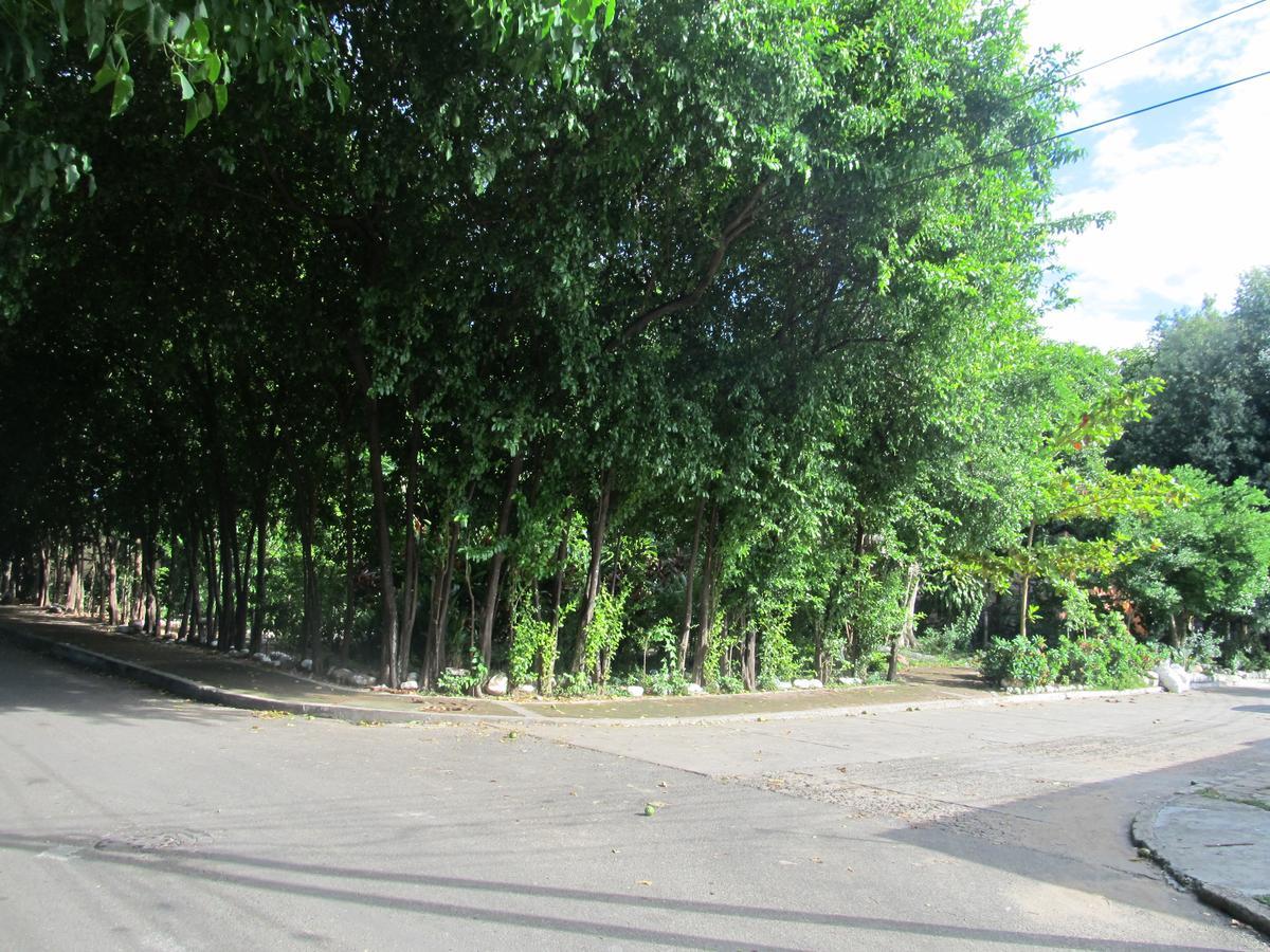 נייבה Backpackers And Travellers Hostel מראה חיצוני תמונה