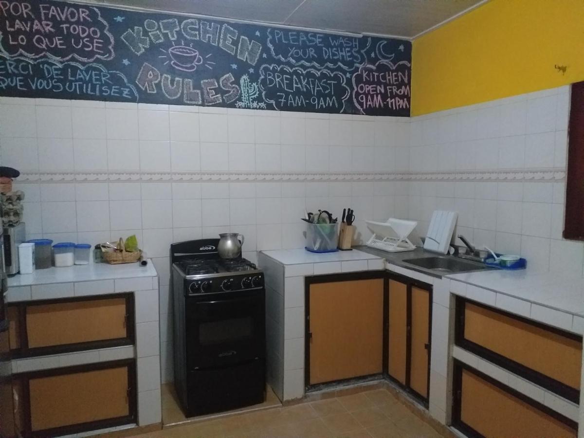 נייבה Backpackers And Travellers Hostel מראה חיצוני תמונה